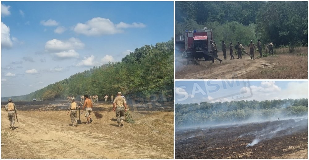 FOTO/VIDEO. Incendiu uriaș, pădure în pericol. Intervine și Armata în județul Satu Mare