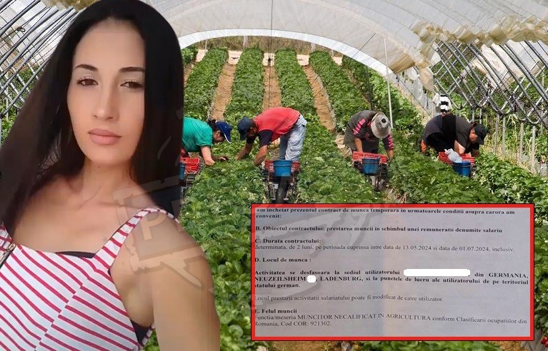 FOTO. Coșmarul unei tinere din Satu Mare la muncă în Germania: ”Am fost epuizată fizic și psihic”