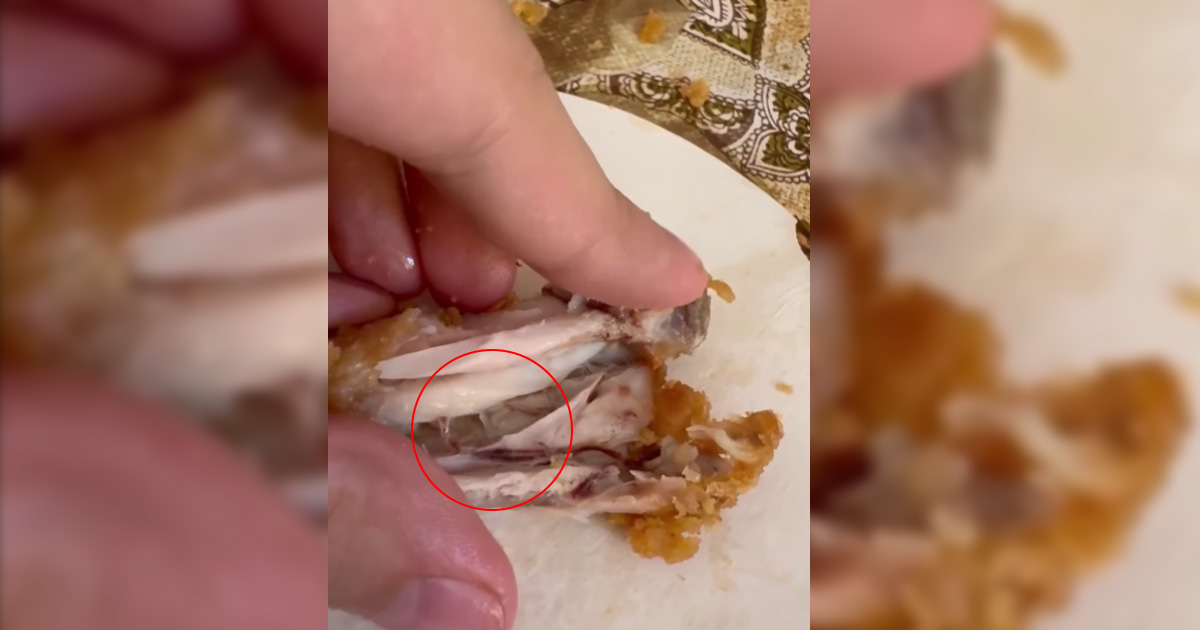 VIDEO. Surpriză neplăcută pentru un sătmărean. Aripioare pline cu viermi la un fast-food