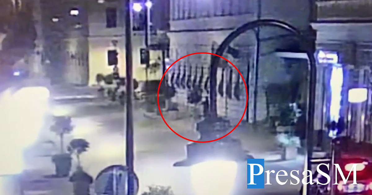 VIDEO. Tânăr filmat în timp ce distruge arbori în centrul Sătmarului. Polițiștii locali l-au vânat și l-au prins