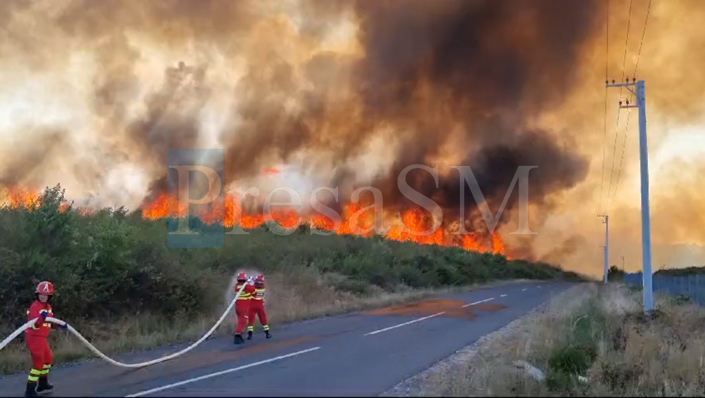 VIDEO. Incendiu uriaș de vegetație! Flăcările au ajuns la mai multe case! Pompierii din Satu Mare, chemați în ajutor