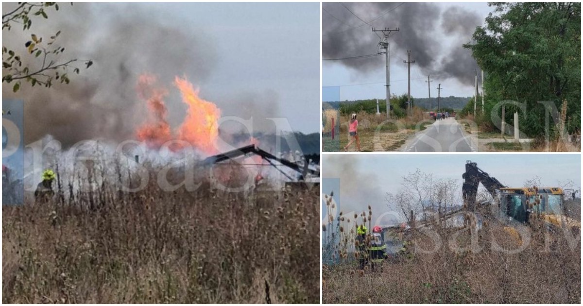 FOTO/VIDEO. Incendiu puternic de vegetație. A ars o stână, focul la un pas de casele oamenilor