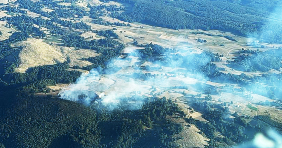 FOTO. Ard hectare întregi de pădure în județul Satu Mare