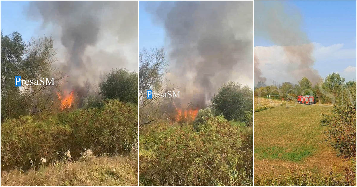 FOTO/VIDEO. Un nou incendiu de vegetație în județul Satu Mare. Intervin pompierii