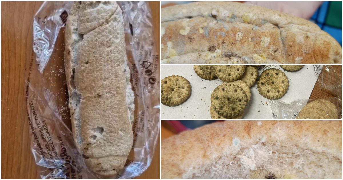 FOTO/VIDEO. Cornuri infestate cu furnici și biscuiți cu mucegai pentru elevii din Satu Mare