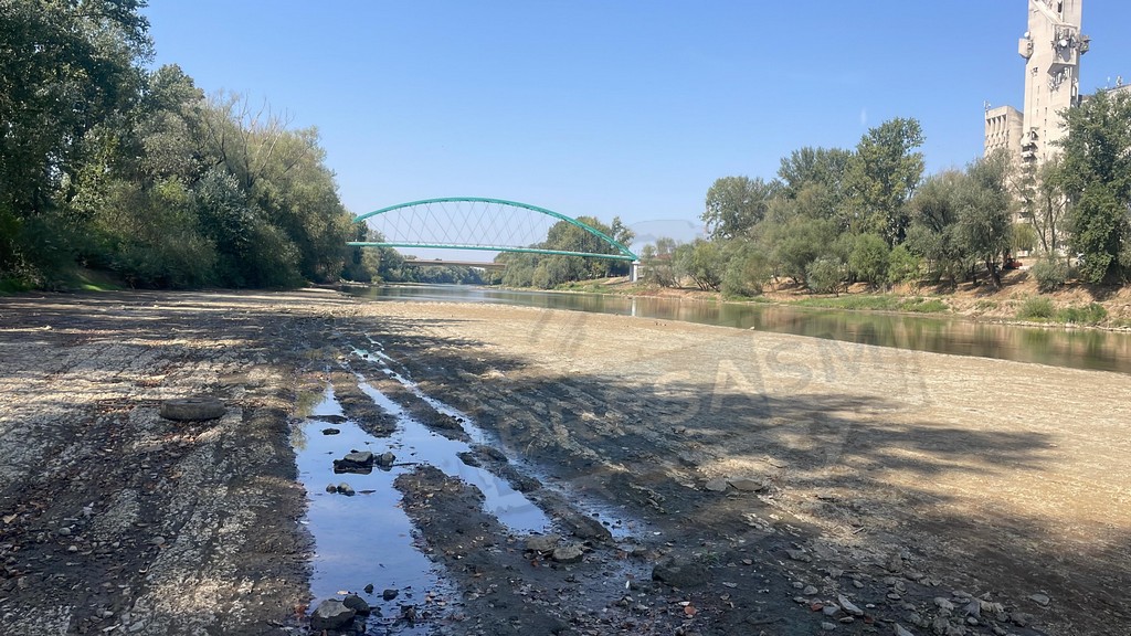 VIDEO. Someșul a secat pe jumătate în Satu Mare. Record negativ, minim istoric