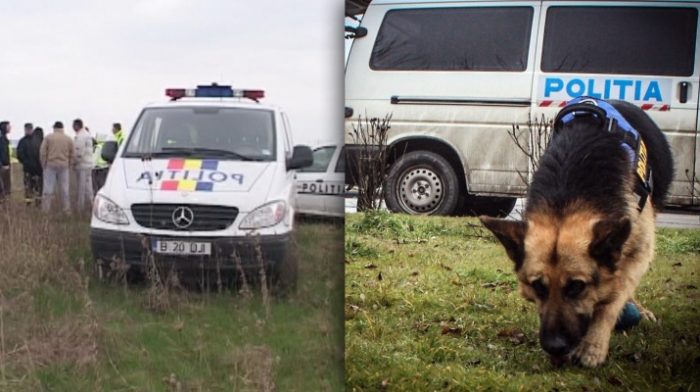 Bărbat găsit decedat pe câmp, în județul Satu Mare. Poliția a deschis o anchetă