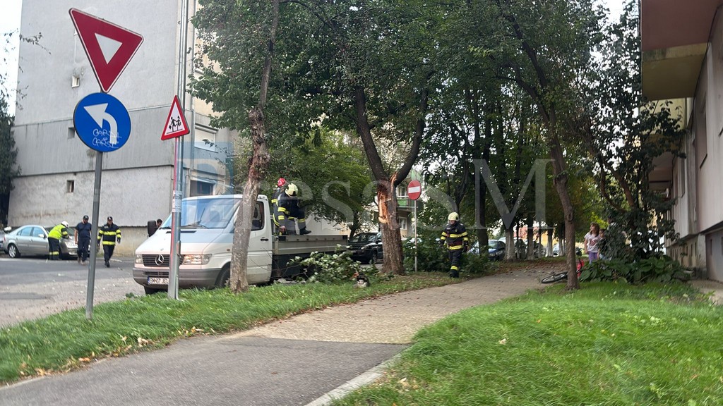 FOTO/VIDEO. Primele probleme cauzate de vreme rea în Satu Mare. Copac căzut peste mașină în Micro 17