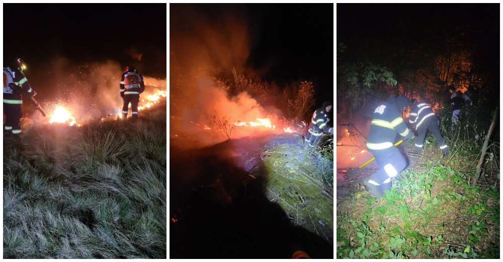 FOTO/VIDEO. Hectare întregi de pădure au fost mistuite de flăcări în județul Satu Mare
