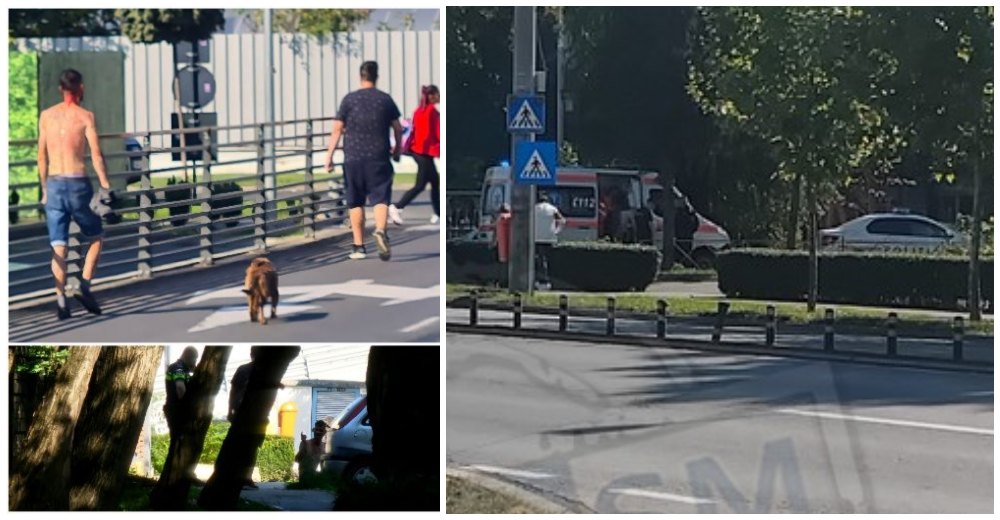 FOTO. Bătaie și răniți pe Drumul Careiului din municipiul Satu Mare. Poliția și Jandarmeria au intervenit