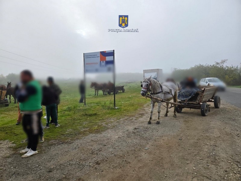 FOTO. Oamenii legii, cu ochii pe proprietarii de animale. Zeci de amenzi date sătmărenilor