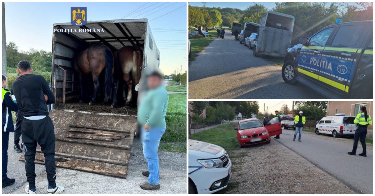 FOTO. Razii ale polițiștilor sătmăreni. Au fost vizați proprietarii de cai. Zeci de persoane sancționate, amenzi de peste 10.000 de lei
