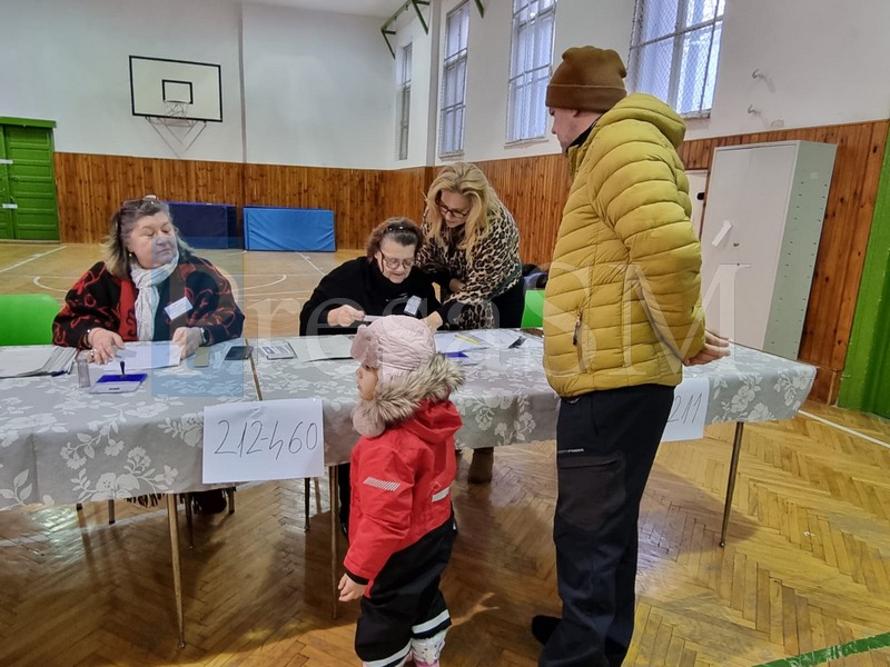 Primele rezultatele ale alegerilor la Satu Mare. Sunt diferite față de situația de la nivel național