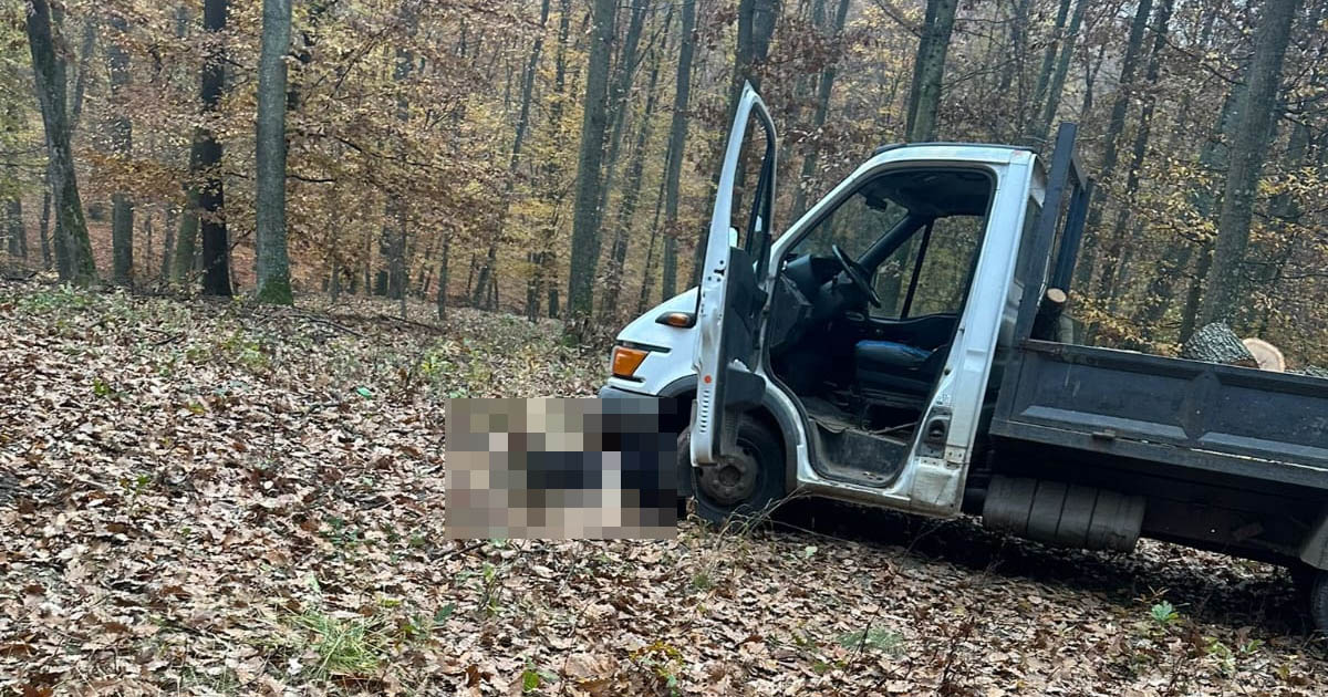 FOTO. Cum s-a produs tragedia din Cehal. Un fost polițist a murit strivit de mașină