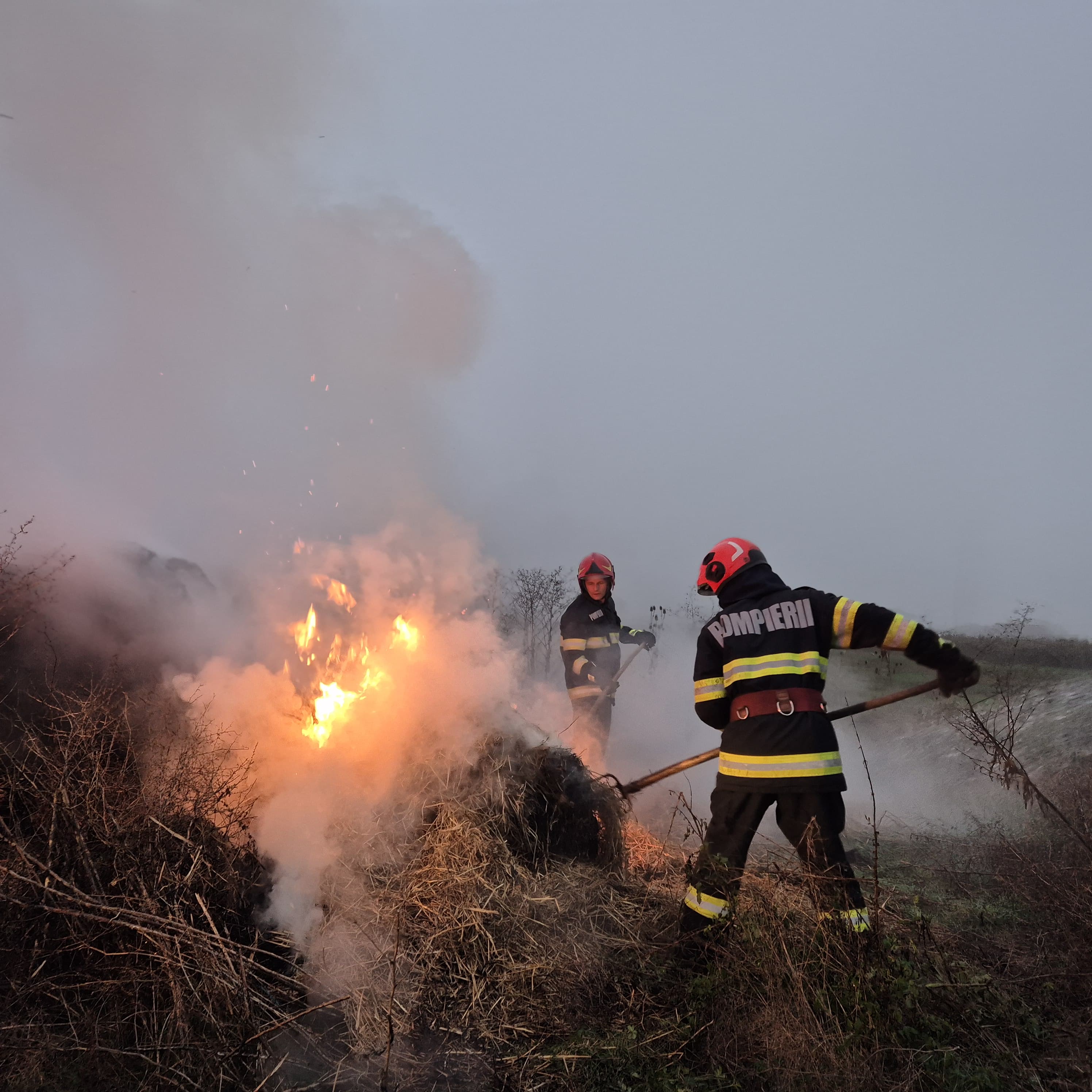 FOTO/VIDEO. Baloți de paie cuprinși de flăcări în județul Satu Mare. Mobilizare și în pădurea de la Huta certeze
