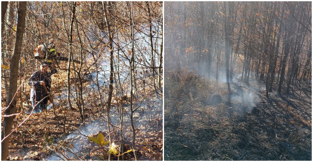 FOTO/VIDEO. Incendiu în județul Satu Mare. Au ars 60 hectare de vegetație