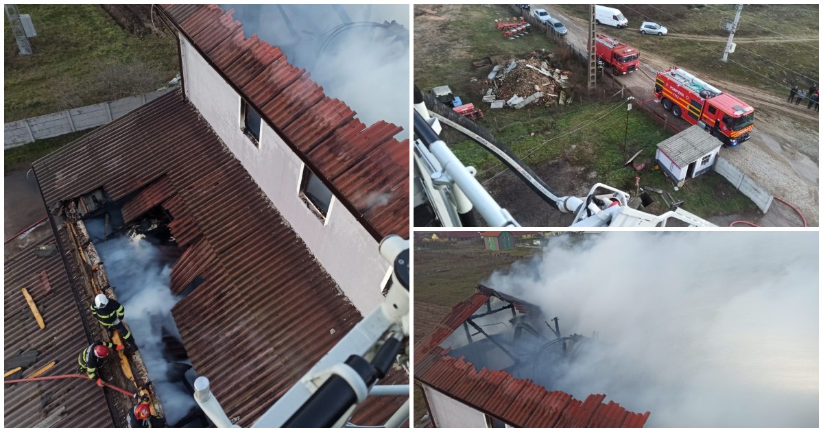 FOTO/VIDEO. Pagube uriașe după ce o moară din județul Satu Mare a luat foc. De la ce a pornit totul