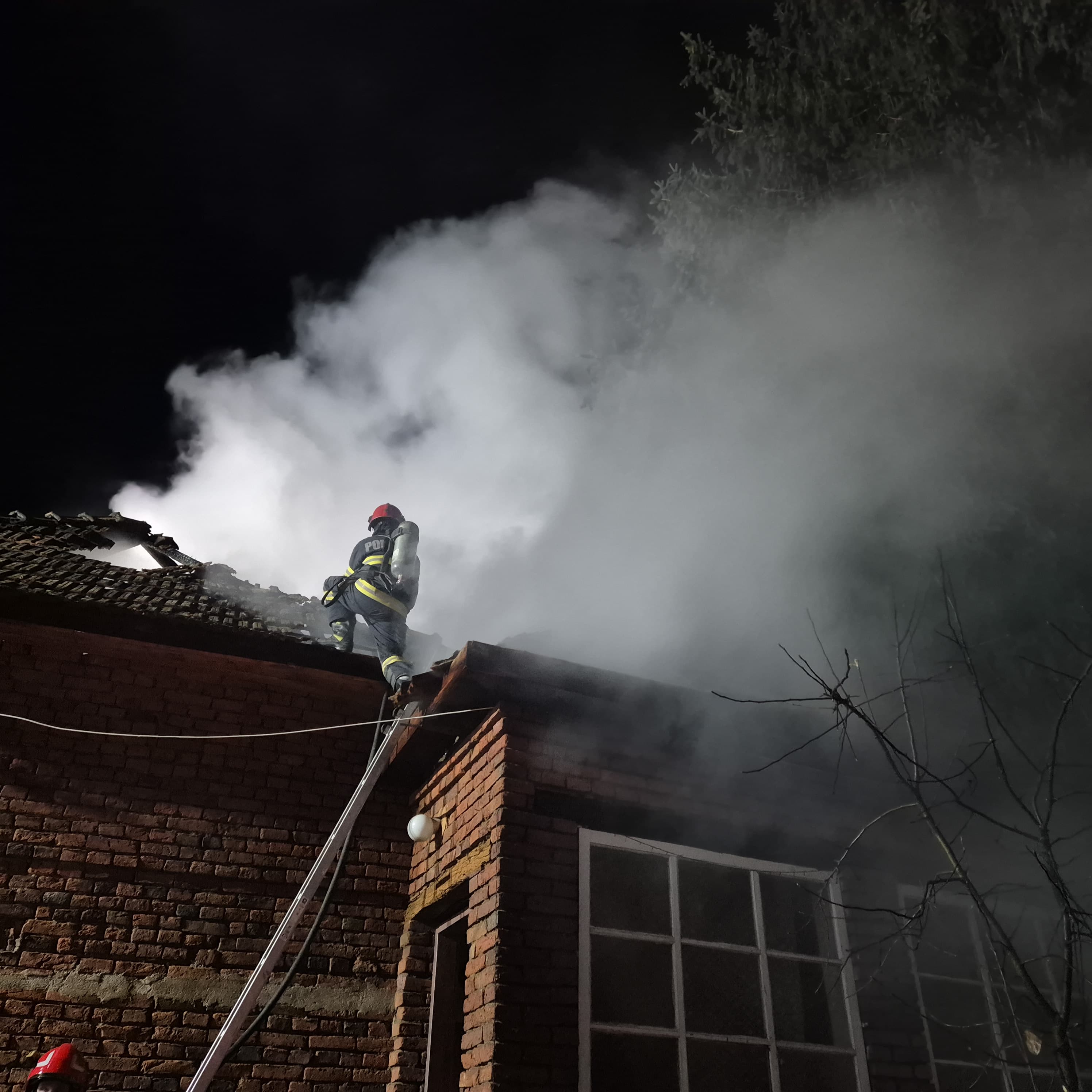 FOTO/VIDEO. De la ce a pornit incendiul din județul Satu Mare. Flăcările amenințau și casele învecinate