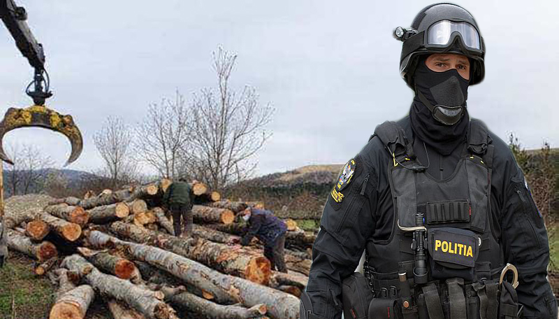 Pădurar din Satu Mare condamnat după ce a mituit un comisar de la Garda Forestieră care trebuia să îl verifice