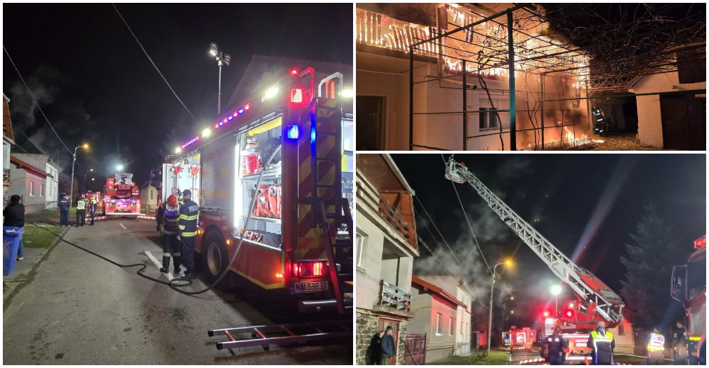 FOTO. Câinele erou! A salvat o femeie dintr-o casă în flăcări, în municipiul Satu Mare