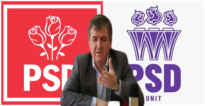 Cum a fost faultat PSD la Satu Mare. Principala forță românească, fentată de o ”clonă”