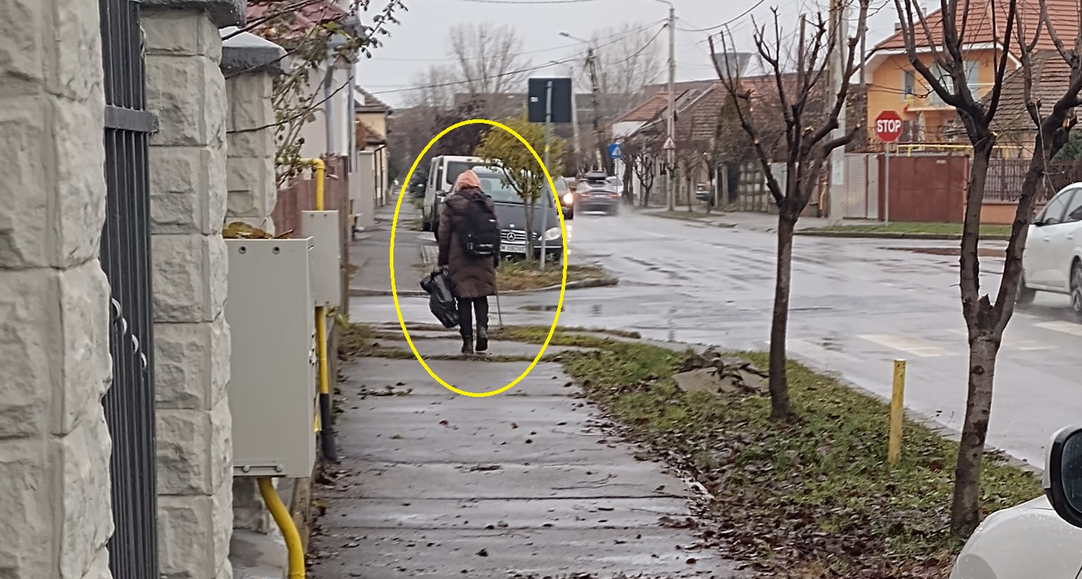 FOTO. O sătmăreancă model! Strânge deșeurile aruncate pe stradă de nesimțiți. Fără să aștepte recunoștință