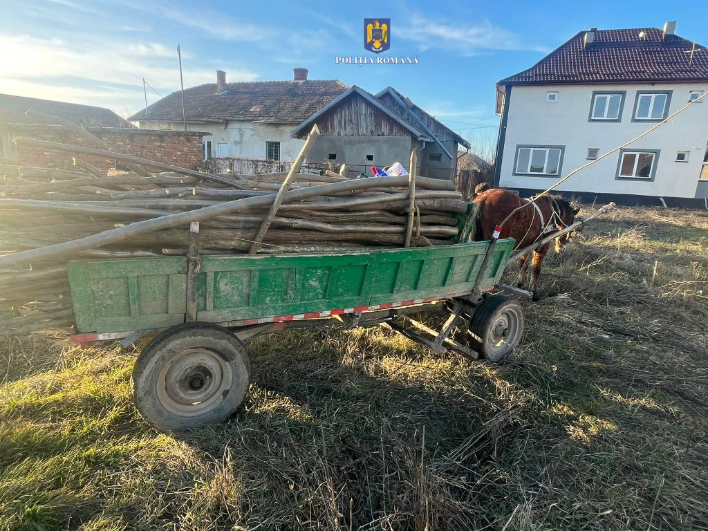 FOTO. Razie a polițiștilor sătmăreni în Beltiug. Oamenii legii au prins un hoț și un transport ilegal de lemne. S-au dat amenzi de mii de lei