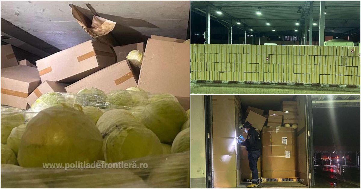 FOTO/VIDEO. Captură uriașă de țigări în zona Petea. Au crezut că Schengen-ul le dă liber contrabandiștilor