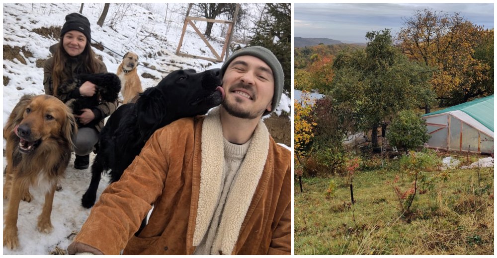FOTO. Povestea tinerilor care au lăsat Satu Mare și s-au mutat în mijlocul naturii. Loc de vis