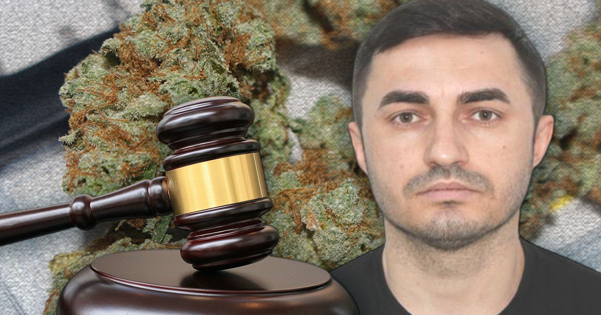 Canabis cumpărat din Satu Mare și vândut în Bihor. Traficantul, obligat să stea un an în închisoare. Acum e căutat de polițiști