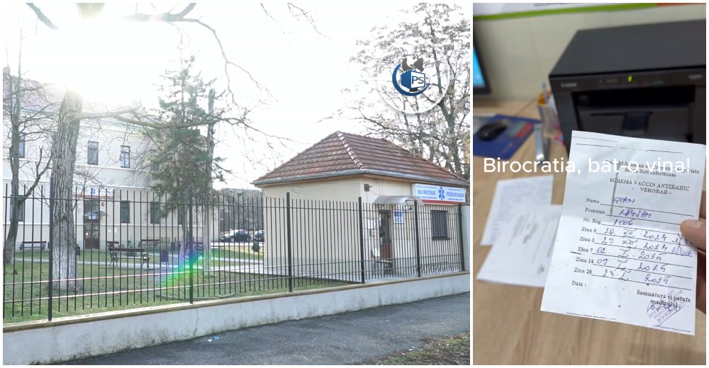 VIDEO. Unui pacient i s-a refuzat vaccinul antirabic din cauze birocratice în Satu Mare. Poți să turbi dacă nu ai cardul