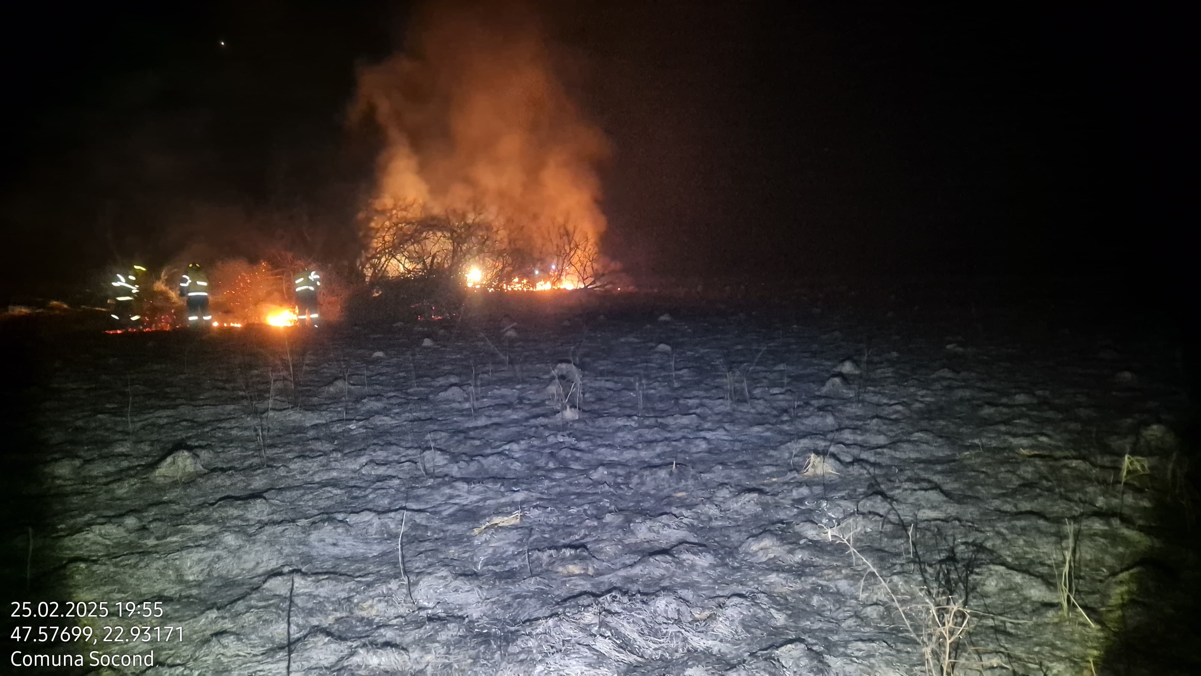 FOTO. Zeci de hectare pârjolite, în Satu Mare. Nouă incendii de vegetație în patru zile. Pompierii trag un semnal de alarmă