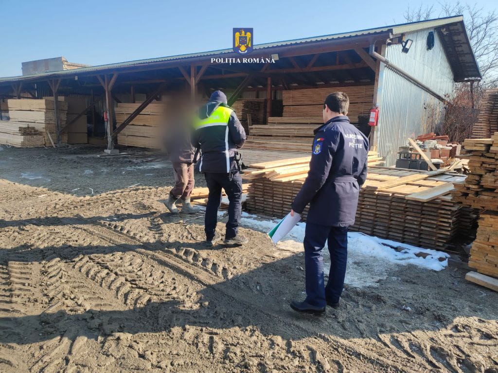 FOTO. Război declarat ”industriei” ilegale a lemnului. Confiscări și amenzi în Satu Mare