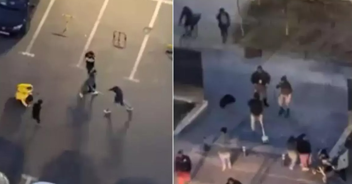 Se întâmplă în România. Doi livratori de mâncare, atacați în plină stradă. Unul dintre ei, bătut crunt: "Cu beţe, topoare, secure"