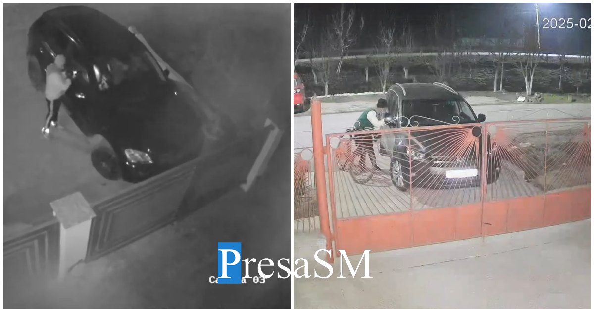 VIDEO. Poliția l-a prins pe individul care a dat valul de spargeri de mașini în Vetiș, Decebal și Doba
