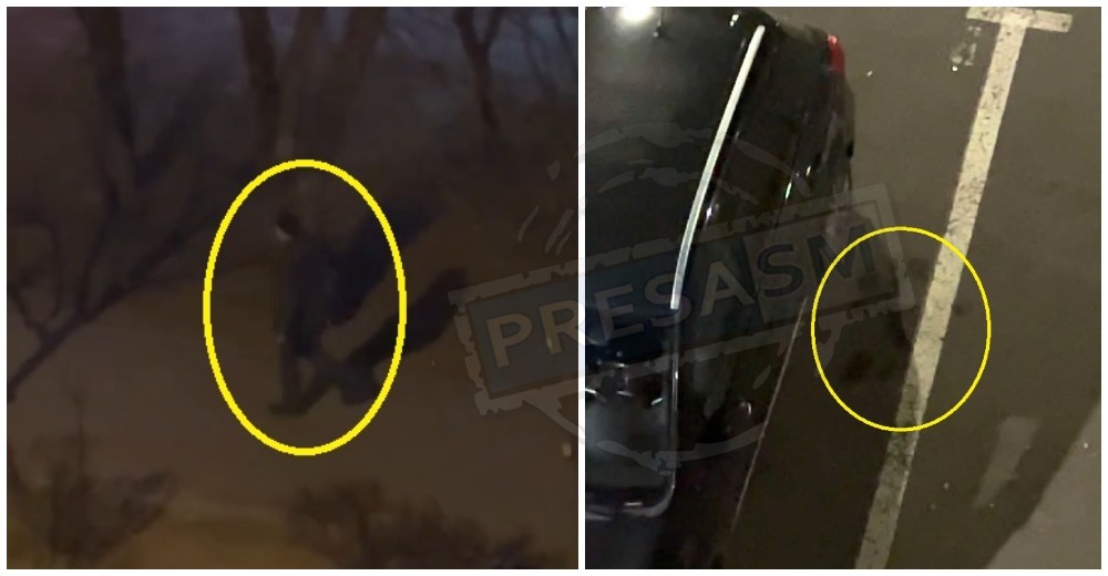 FOTO. Un bărbat a ucis o pisică în plină noapte, în Satu Mare. Autoritățile încearcă să-l identifice