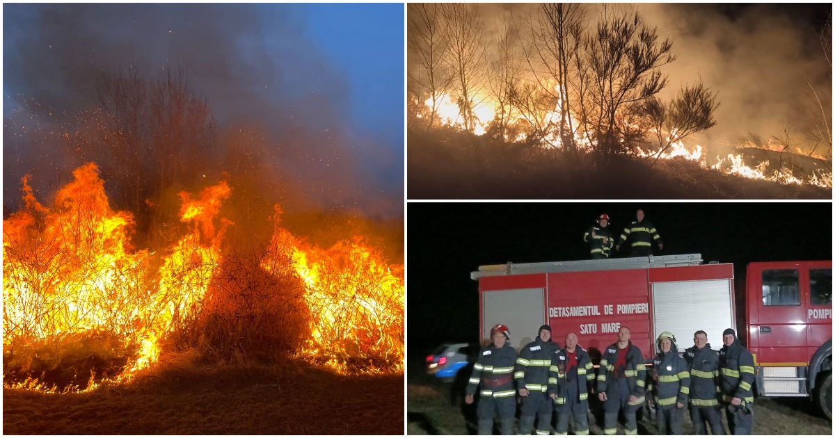 FOTO/VIDEO. Pompierii sătmăreni trag un semnal de alarmă! 15 incendii de vegetație, în weekend, la Satu Mare. Zeci de hectare pârjolite, păduri și case sub amenințarea flăcărilor