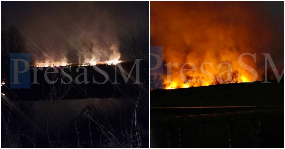 FOTO/VIDEO. Incendiu mare de vegetație în județul Satu Mare. S-au mobilizat localnicii