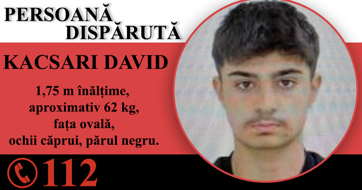 FOTO. Un tânăr (14 ani) a dispărut fără urmă din județul Satu Mare
