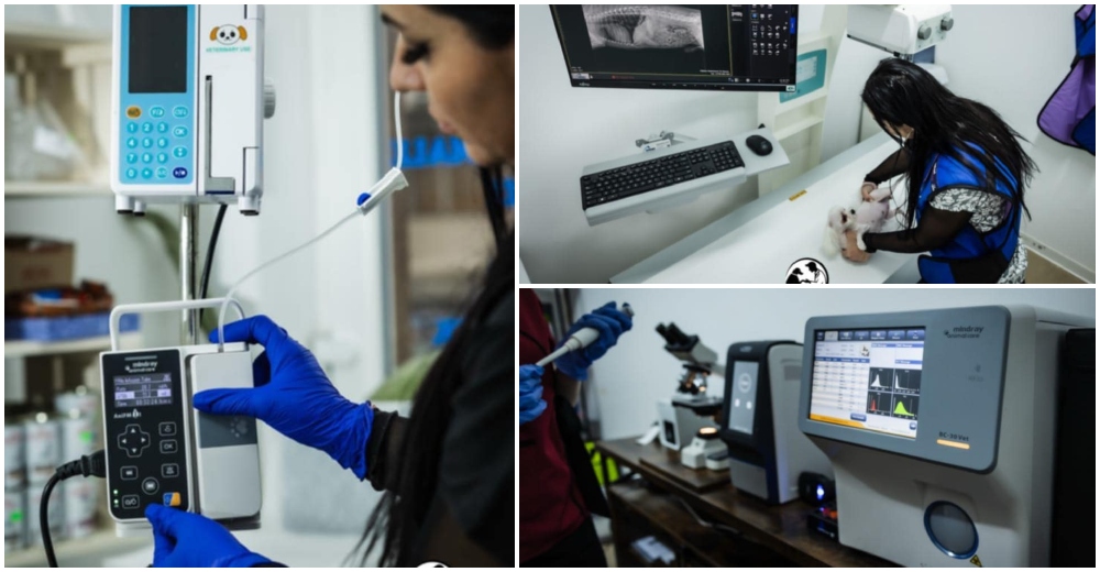 FOTO. Așa arată una dintre cele mai moderne clinici veterinare din Satu Mare