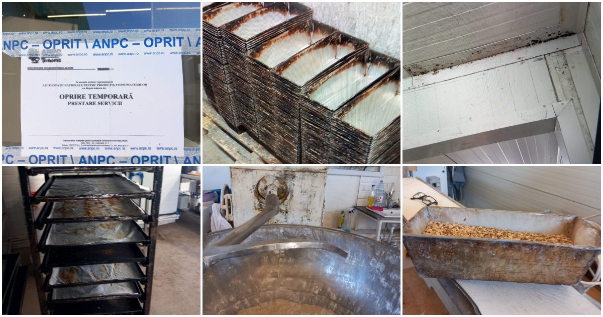 FOTO. O altă brutărie importantă din Satu Mare, închisă din cauza condițiilor mizere! Mii de oameni mănâncă de aici