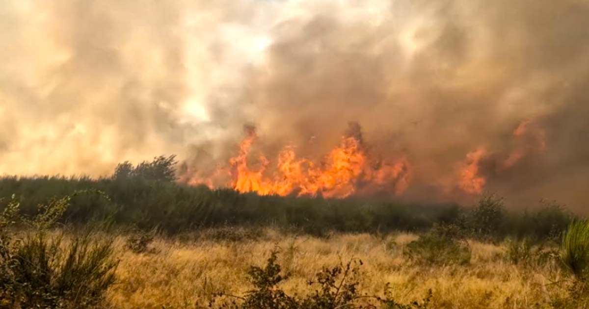 VIDEO. Tragedie în județul vecin, după un incendiu de vegetație. O femeie a murit, iar soţul ei a scăpat ca prin minune de flăcărie care a înghiţit totul în cale