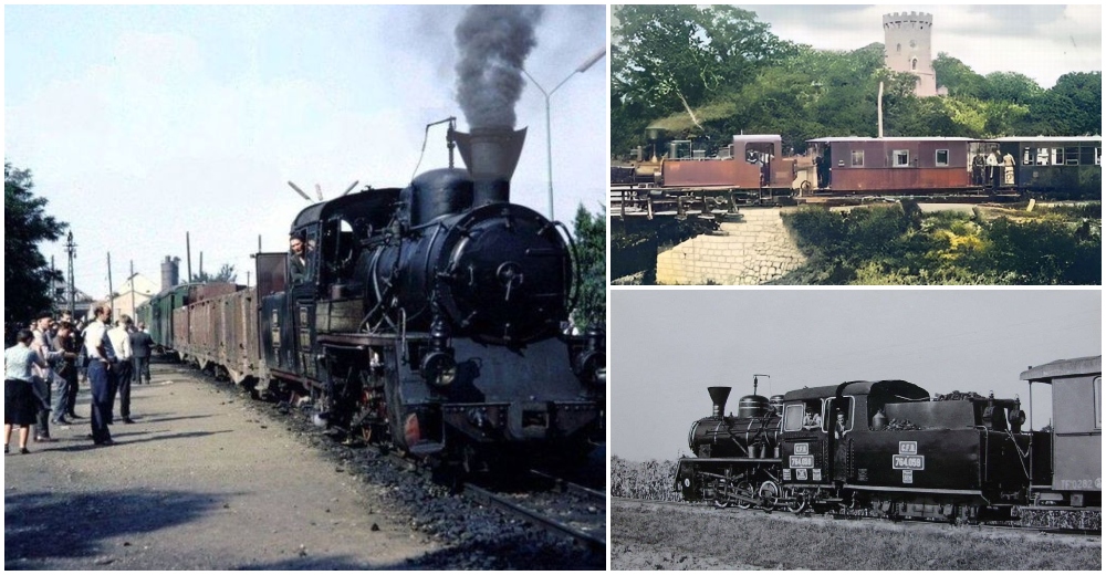 FOTO. Zsuzsi – Trenul cu aburi care a scris istorie pe șinele Sătmarului. Între Grădina Romei și Ardud