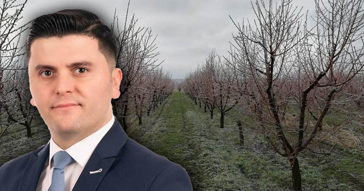 Deputatul Adrian Cozma cere măsuri de sprijin pentru pomicultorii afectați de temperaturile scăzute și înghețul târziu