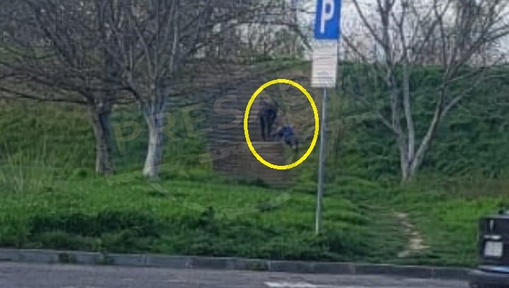 Spirit civic la Satu Mare: Un localnic a intervenit după ce a observat un bărbat căzut pe scările digului Someșului