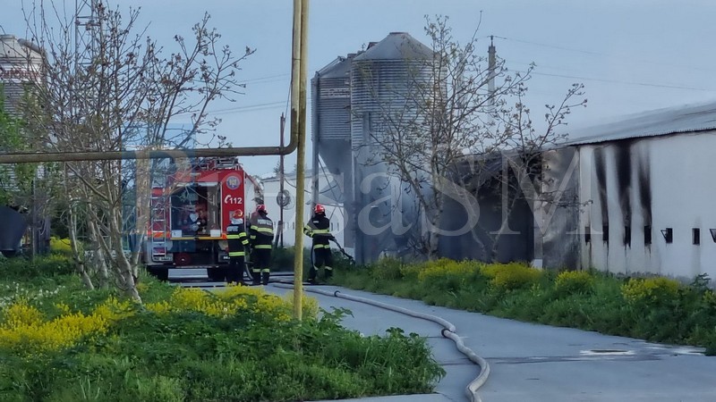 FOTO/VIDEO. Incendiu în municipiul Satu Mare. Arde o hală de pui