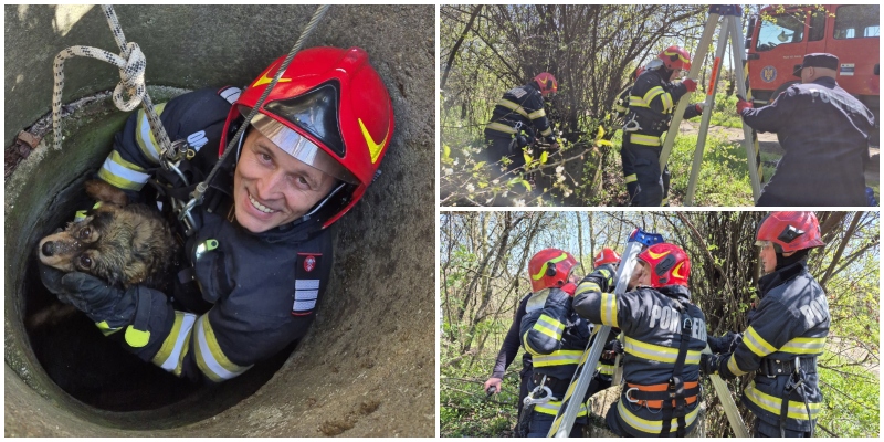 FOTO. Eroii Sătmarului! Pompierii au salvat un cățel din fântână, pierdut de șase copilași