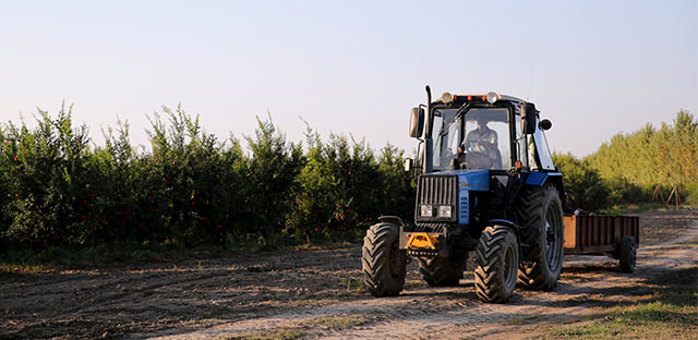 Mesajul unei primărițe din județ pentru agricultorii care ajung cu utilajele pe drumurile publice. Amenda ajunge la 2.900 lei