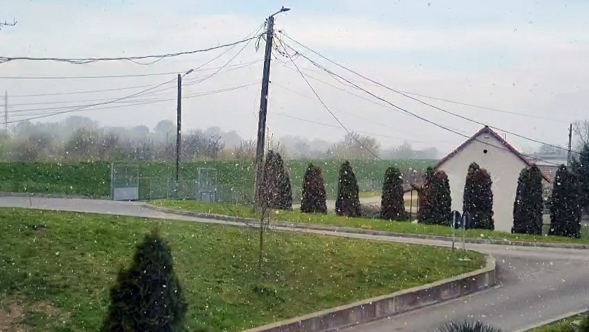 VIDEO. Ce este Zăpada Mieilor. Ce spune credința populară despre ninsoarea din aprilie