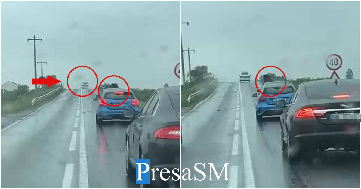 VIDEO. REVOLTĂTOR pe DN 19F: Cal lăsat să alerge printre mașini, poliția nu intervine/întoarce capul